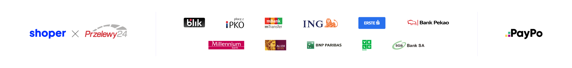 Baner zawierający logotypy operatorów płatności dostępnych w sklepie internetowym